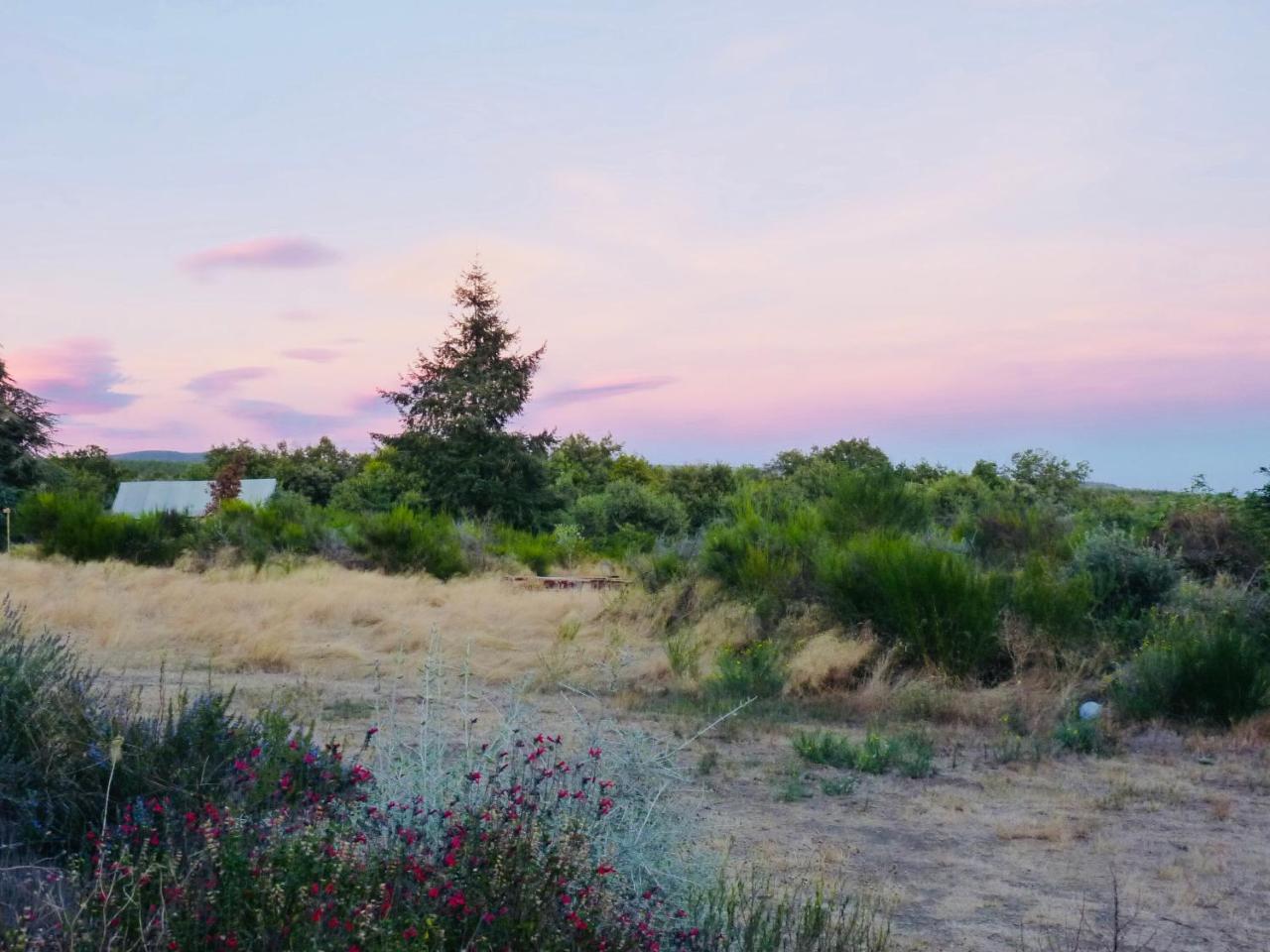 Domaine De La Vitarelle Glamping Villaniere Exteriör bild